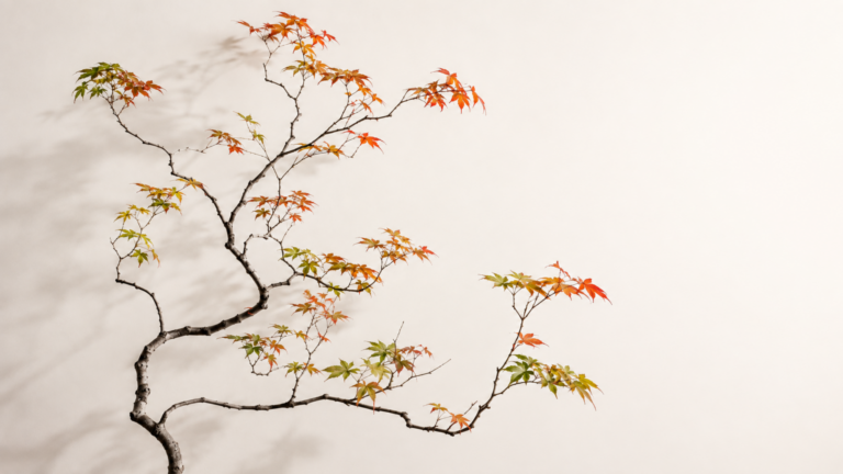 A clean, editorial photograph of vine maple branches arranged against a soft-white backdrop — showcasing curvature, tension, and architectural lines.